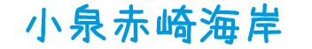 小泉赤崎海岸